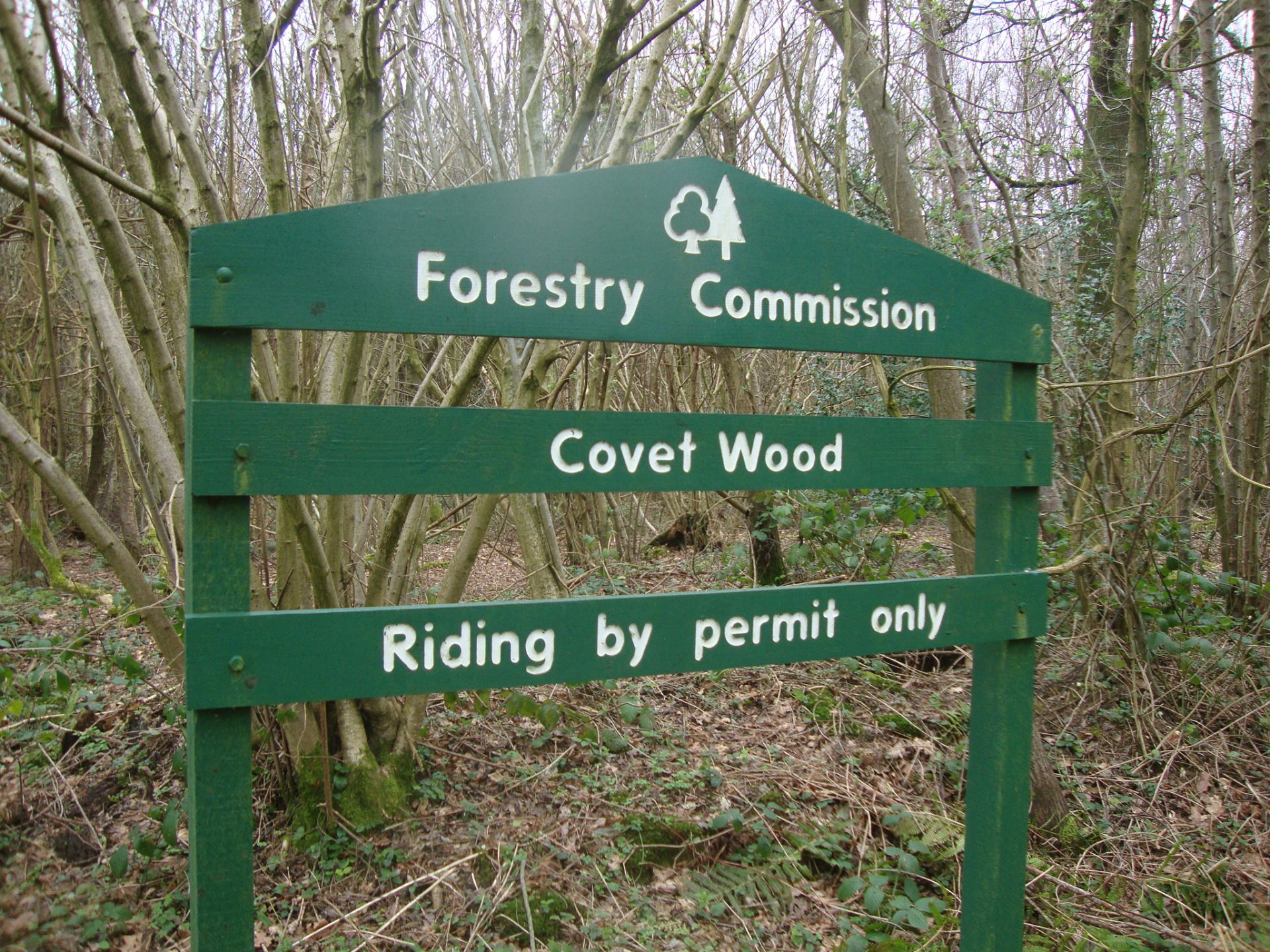 This walks heads through woodland